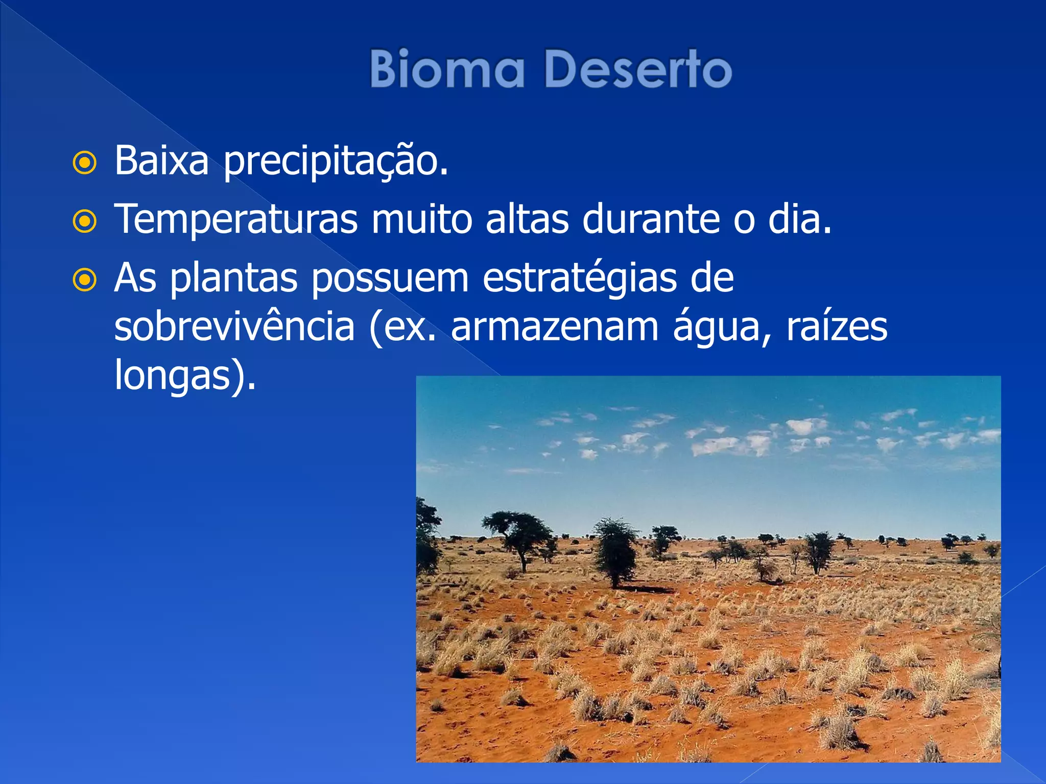  Baixa precipitação.
 Temperaturas muito altas durante o dia.
 As plantas possuem estratégias de
sobrevivência (ex. armazenam água, raízes
longas).
 