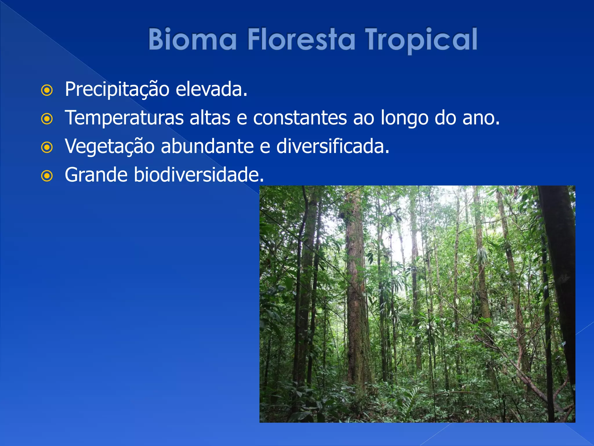  Precipitação elevada.
 Temperaturas altas e constantes ao longo do ano.
 Vegetação abundante e diversificada.
 Grande biodiversidade.
 