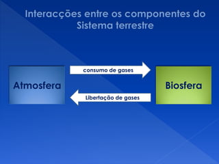 Atmosfera Biosfera
consumo de gases
Libertação de gases
 