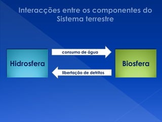 Hidrosfera Biosfera
consumo de água
libertação de detritos
 