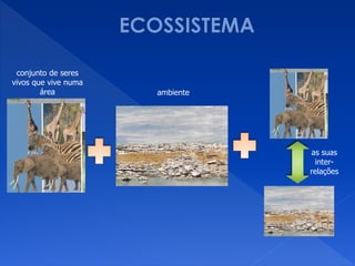 conjunto de seres
vivos que vive numa
área ambiente
as suas
inter-
relações
 