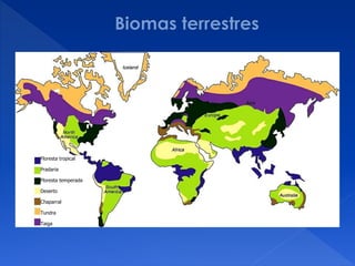 Floresta tropical
Pradaria
Floresta temperada
Deserto
Chaparral
Tundra
Taiga
 