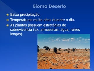  Baixa precipitação.
 Temperaturas muito altas durante o dia.
 As plantas possuem estratégias de
sobrevivência (ex. armazenam água, raízes
longas).
 