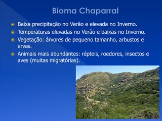  Baixa precipitação no Verão e elevada no Inverno.
 Temperaturas elevadas no Verão e baixas no Inverno.
 Vegetação: árvores de pequeno tamanho, arbustos e
ervas.
 Animais mais abundantes: répteis, roedores, insectos e
aves (muitas migratórias).
 