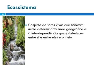 Ecossistema   Conjunto de seres vivos que habitam numa determinada área geográfica e à interdependência que estabelecem entre si e entre eles e o meio 
