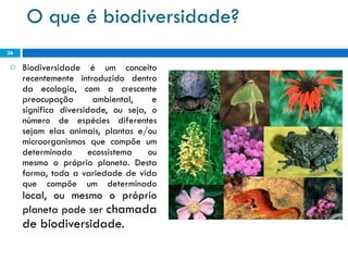 O que é biodiversidade? Biodiversidade é um conceito recentemente introduzido dentro da ecologia, com a crescente preocupação ambiental, e significa diversidade, ou seja, o número de espécies diferentes sejam elas animais, plantas e/ou microorganismos que compõe um determinado ecossistema ou mesmo o próprio planeta. Desta forma, toda a variedade de vida que compõe um determinado  local, ou mesmo o próprio planeta pode ser  chamada de biodiversidade. 