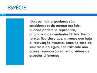 ESPÉCIE Dois ou mais organismos são considerados da mesma espécie, quando podem se reproduzir, originando descendentes férteis. Desta forma, fica claro que, a menos que haja a intervenção humana, como no caso do jumento e da égua, naturalmente não ocorre reprodução entre indivíduos de espécies diferentes 