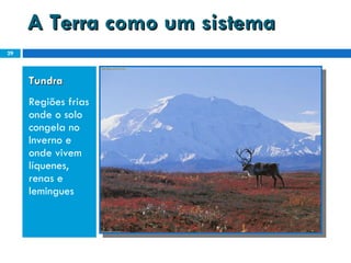 A Terra como um sistema Tundra  Regiões frias onde o solo congela no Inverno e onde vivem líquenes, renas e lemingues 