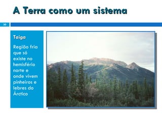 A Terra como um sistema Taiga  Região fria que só existe no hemisfério norte e onde vivem pinheiros e lebres do Árctico 