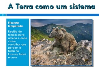 A Terra como um sistema Floresta temperada  Região de temperatura amena e onde vivem carvalhos que perdem a folha no Inverno, lobos e ursos 