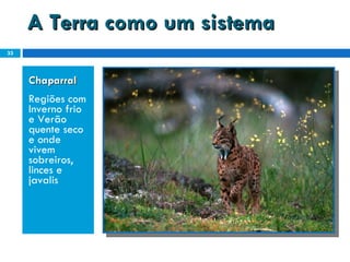 A Terra como um sistema Chaparral  Regiões com Inverno frio e Verão quente seco e onde vivem sobreiros, linces e javalis 