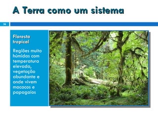 A Terra como um sistema Floresta tropical  Regiões muito húmidas com temperatura elevada, vegetação abundante e onde vivem macacos e papagaios 