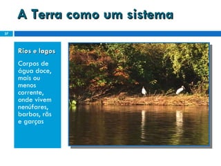 A Terra como um sistema Rios e lagos Corpos de água doce, mais ou menos corrente, onde vivem nenúfares, barbos, rãs e garças 