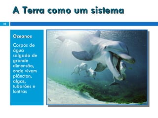 A Terra como um sistema Oceanos  Corpos de água salgada de grande dimensão, onde vivem plâncton, algas, tubarões e lontras 
