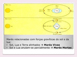 Marés relacionadas com forças gravíticas do sol e da
lua:
• Sol, Lua e Terra alinhados  Marés Vivas
• Sol e Lua anulam-se parcialmente  Marés Mortas
 