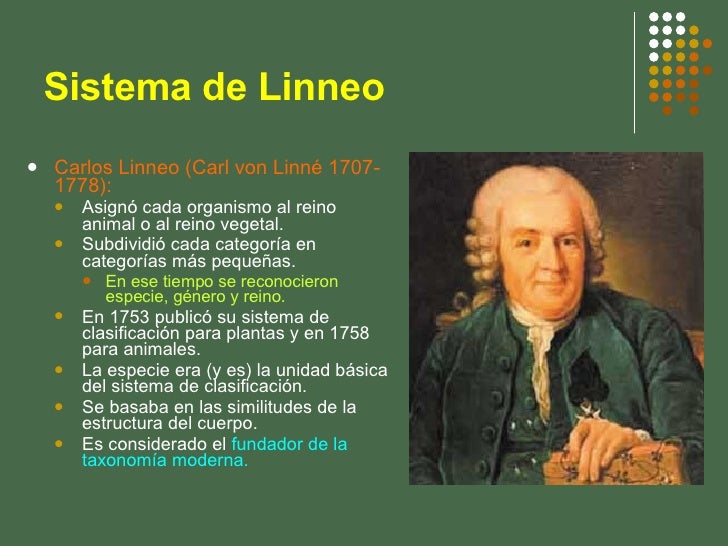 Sistematica