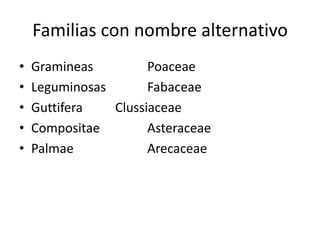 Familias con nombre alternativo
• Gramineas Poaceae
• Leguminosas Fabaceae
• Guttifera Clussiaceae
• Compositae Asteraceae
• Palmae Arecaceae
 