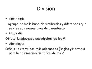 División
• Taxonomía
Agrupa sobre la base de similitudes y diferencias que
se cree son expresiones de parentesco.
• Fitografía
Objeto la adecuada descripción de los V.
• Glosología
Señala los términos más adecuados (Reglas y Normas)
para la nominación científica de los V.
 