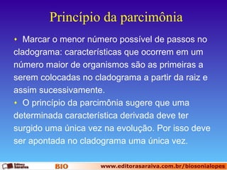 Princípio da parcimônia
Marcar o menor número possível de passos no
cladograma: características que ocorrem em um
número maior de organismos são as primeiras a
serem colocadas no cladograma a partir da raiz e
assim sucessivamente.
♦ O princípio da parcimônia sugere que uma
determinada característica derivada deve ter
surgido uma única vez na evolução. Por isso deve
ser apontada no cladograma uma única vez.
♦

 