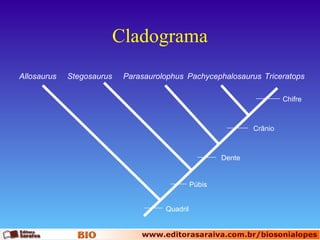 Cladograma
Allosaurus

Stegosaurus

Parasaurolophus Pachycephalosaurus Triceratops
Chifre

Crânio

Dente

Púbis
Quadril

 