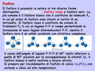 FosforoFosforo
Il fosforo è presente in natura in tre diverse forme
allotropiche: fosforo bianco, fosforo rosso e fosforo nero. La
più comune è il fosforo bianco che è costituito da molecole P4
in cui gli atomi di fosforo sono situati ai vertici di un
tetraedro. Il fosforo rosso è costituito da catene di
frammenti P4 in cui un legame P-P si rompe permettendo la
formazione di nuovi legami intermolecolari P-P, mentre il
fosforo nero è un solido covalente con struttura complessa.
A causa dell’angolo di legame P-P-P di 60° molto inferiore a
quello di 90° previsto per la sovrapposizione di orbitali 3p, il
fosforo bianco è molto reattivo e brucia all’aria.
Si prepara per riscaldamento di fosfato di calcio Ca3(PO4)2 con
carbone e silice ad alte temperature.
 