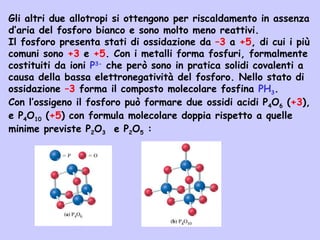 Gli altri due allotropi si ottengono per riscaldamento in assenza
d’aria del fosforo bianco e sono molto meno reattivi.
Il fosforo presenta stati di ossidazione da –3 a +5, di cui i più
comuni sono +3 e +5. Con i metalli forma fosfuri, formalmente
costituiti da ioni P3-
che però sono in pratica solidi covalenti a
causa della bassa elettronegatività del fosforo. Nello stato di
ossidazione –3 forma il composto molecolare fosfina PH3.
Con l’ossigeno il fosforo può formare due ossidi acidi P4O6 (+3),
e P4O10 (+5) con formula molecolare doppia rispetto a quelle
minime previste P2O3 e P2O5 :
 