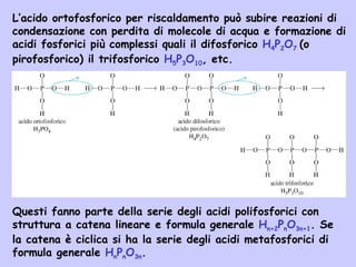 L’acido ortofosforico per riscaldamento può subire reazioni di
condensazione con perdita di molecole di acqua e formazione di
acidi fosforici più complessi quali il difosforico H4P2O7 (o
pirofosforico) il trifosforico H5P3O10, etc.
K k k k k k k k k k k k k k k k k k k k k k k
Questi fanno parte della serie degli acidi polifosforici con
struttura a catena lineare e formula generale Hn+2PnO3n+1. Se
la catena è ciclica si ha la serie degli acidi metafosforici di
formula generale HnPnO3n.
 