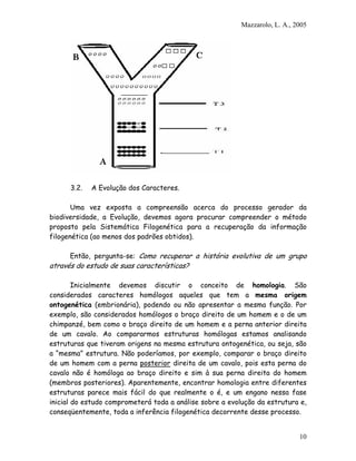 Mazzarolo, L. A., 2005




      3.2.   A Evolução dos Caracteres.

       Uma vez exposta a compreensão acerca do processo gerador da
biodiversidade, a Evolução, devemos agora procurar compreender o método
proposto pela Sistemática Filogenética para a recuperação da informação
filogenética (ao menos dos padrões obtidos).

      Então, pergunta-se: Como recuperar a história evolutiva de um grupo
através do estudo de suas características?

        Inicialmente devemos discutir o conceito de homologia. São
considerados caracteres homólogos aqueles que tem a mesma origem
ontogenética (embrionária), podendo ou não apresentar a mesma função. Por
exemplo, são considerados homólogos o braço direito de um homem e o de um
chimpanzé, bem como o braço direito de um homem e a perna anterior direita
de um cavalo. Ao compararmos estruturas homólogas estamos analisando
estruturas que tiveram origens na mesma estrutura ontogenética, ou seja, são
a “mesma” estrutura. Não poderíamos, por exemplo, comparar o braço direito
de um homem com a perna posterior direita de um cavalo, pois esta perna do
cavalo não é homóloga ao braço direito e sim à sua perna direita do homem
(membros posteriores). Aparentemente, encontrar homologia entre diferentes
estruturas parece mais fácil do que realmente o é, e um engano nessa fase
inicial do estudo comprometerá toda a análise sobre a evolução da estrutura e,
conseqüentemente, toda a inferência filogenética decorrente desse processo.


                                                                             10
 
