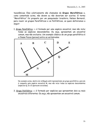 Mazzarolo, L. A., 2005


taxonômicas. Eles coletivamente são chamados de Grupos Merofiléticos e,
como comentado acima, não devem ou não deveriam ser aceitos. O termo
“Merofilético” foi proposto por um pesquisador brasileiro, Nelson Bernardi,
para reunir os grupos Parafiléticos e os Polifiléticos, os quais definiremos a
seguir:

1. Grupo Parafilético ⇒ é formado por uma espécie ancestral, mas não inclui
     todas as espécies descendentes. Ou seja, apresentam um ancestral
     comum, mas não exclusivo. Um exemplo clássico de um grupo parafilético é
     a Classe Pisces (peixes) entre os vertebrados.




    No exemplo acima, dentro do retângulo está representado um grupo parafilético, pois ele
    é composto pela espécie ancestral M, mas não inclui todas as espécies descendentes
    (espécies Q, D e E aparecem excluídas).


2. Grupo Polifilético ⇒ é formado por espécies que apresentam dois ou mais
     ancestrais diferentes. Ou seja, não apresentam um ancestral comum.




                                                                                        16
 
