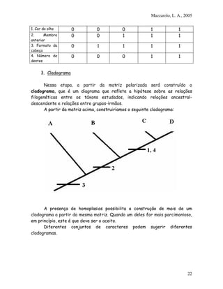Mazzarolo, L. A., 2005

1. Cor do olho        0       0           0            1             1
2.     Membro         0       0           1            1             1
anterior
3. Formato da         0       1           1            1             1
cabeça
4. Número de          0       0           0            1             1
dentes


      3. Cladograma

       Nessa etapa, a partir da matriz polarizada será construído o
cladograma, que é um diagrama que reflete a hipótese sobre as relações
filogenéticas entre os táxons estudados, indicando relações ancestral-
descendente e relações entre grupos-irmãos.
       A partir da matriz acima, construiríamos o seguinte cladograma:




      A presença de homoplasias possibilita a construção de mais de um
cladograma a partir da mesma matriz. Quando um deles for mais parcimonioso,
em princípio, este é que deve ser o aceito.
      Diferentes conjuntos de caracteres podem sugerir diferentes
cladogramas.




                                                                          22
 