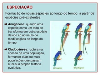 P R O F. L E O N A M - I F R N / C A I C Ó
 