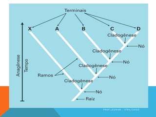 P R O F. L E O N A M - I F R N / C A I C Ó
 