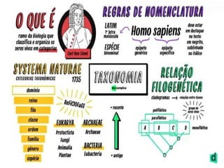 Sistematica classificacao e biodiversidade.pptx