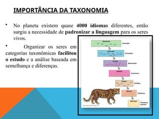 IMPORTÂNCIA DA TAXONOMIA
• No planeta existem quase 4000 idiomas diferentes, então
surgiu a necessidade de padronizar a linguagem para os seres
vivos.
• Organizar os seres em
categorias taxonômicas facilitou
o estudo e a análise baseada em
semelhança e diferenças.
 
