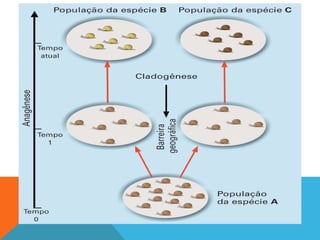 Sistematica classificacao e biodiversidade.pptx