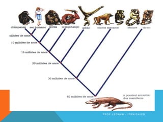 P R O F . L E O N A M - I F R N / C A I C Ó
 