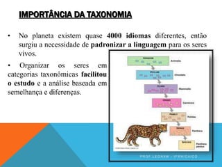 IMPORTÂNCIA DA TAXONOMIA
• No planeta existem quase 4000 idiomas diferentes, então
surgiu a necessidade de padronizar a linguagem para os seres
vivos.
• Organizar os seres em
categorias taxonômicas facilitou
o estudo e a análise baseada em
semelhança e diferenças.
P R O F . L E O N A M - I F R N / C A I C Ó
 