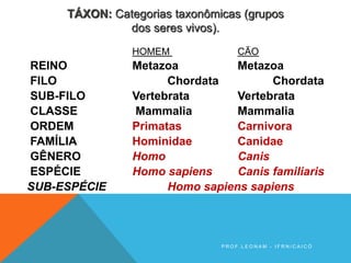 HOMEM CÃO
REINO Metazoa Metazoa
FILO Chordata Chordata
SUB-FILO Vertebrata Vertebrata
CLASSE Mammalia Mammalia
ORDEM Primatas Carnivora
FAMÍLIA Hominidae Canidae
GÊNERO Homo Canis
ESPÉCIE Homo sapiens Canis familiaris
SUB-ESPÉCIE Homo sapiens sapiens
TÁXON: Categorias taxonômicas (grupos
dos seres vivos).
P R O F . L E O N A M - I F R N / C A I C Ó
 