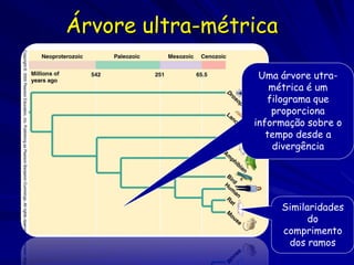 Árvore ultra-métrica

                  Uma árvore utra-
                     métrica é um
                    filograma que
                     proporciona
                 informação sobre o
                    tempo desde a
                     divergência




                       Similaridades
                             do
                       comprimento
                        dos ramos
 
