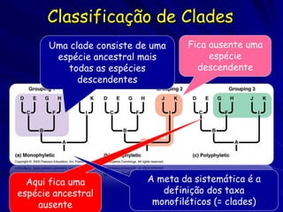 Classificação de Clades
       Uma clade consiste de uma    Fica ausente uma
        espécie ancestral mais           espécie
          todas as espécies           descendente
             descendentes




  Aqui fica uma             A meta da sistemática é a
espécie ancestral              definição dos taxa
    ausente                  monofiléticos (= clades)
 
