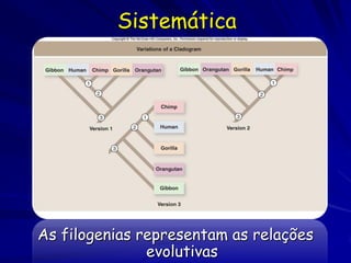 Sistemática




As filogenias representam as relações
               evolutivas
 