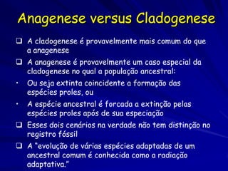 Anagenese versus Cladogenese
 A cladogenese é provavelmente mais comum do que
  a anagenese
 A anagenese é provavelmente um caso especial da
  cladogenese no qual a população ancestral:
•   Ou seja extinta coincidente a formação das
    espécies proles, ou
•   A espécie ancestral é forcada a extinção pelas
    espécies proles após de sua especiação
 Esses dois cenários na verdade não tem distinção no
  registro fóssil
 A “evolução de várias espécies adaptadas de um
  ancestral comum é conhecida como a radiação
  adaptativa.”
 