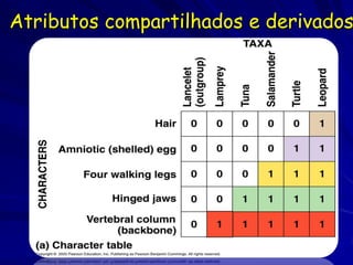Atributos compartilhados e derivados
 