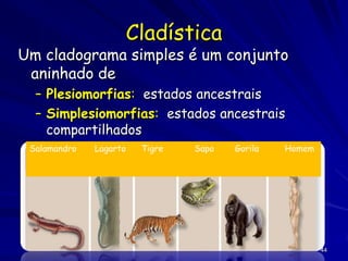 Cladística
Um cladograma simples é um conjunto
 aninhado de
  – Plesiomorfias: estados ancestrais
  – Simplesiomorfias: estados ancestrais
    compartilhados
 Salamandro   Lagarto   Tigre   Sapo   Gorila   Homem




                                                        44
 