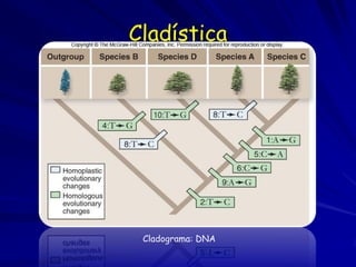 Cladística




 Cladograma: DNA
 