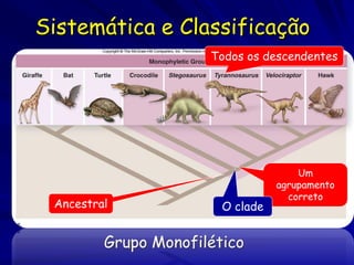 Sistemática e Classificação
                      Todos os descendentes




                                      Um
                                  agrupamento
                                    correto
 Ancestral              O clade


         Grupo Monofilético
 