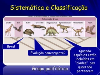 Sistemática e Classificação




Erro!
                                    Quando
        Evolução convergente?
                                espécies estão
                                 incluídas em
                                 “clades” aos
                                   quais não
        Grupo polifilético        pertencem
 