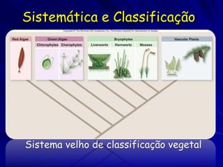 Sistemática e Classificação




Sistema velho de classificação vegetal
 