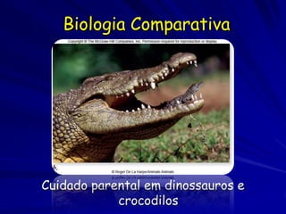 Biologia Comparativa




Cuidado parental em dinossauros e
            crocodilos
 