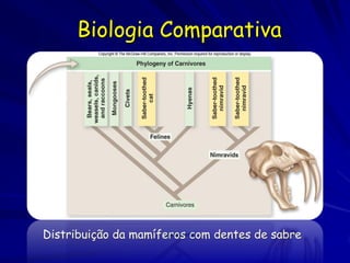 Biologia Comparativa




Distribuição da mamíferos com dentes de sabre
 